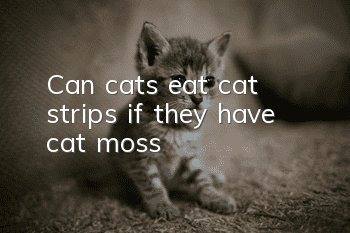 Can cats eat cat strips if they have cat moss?