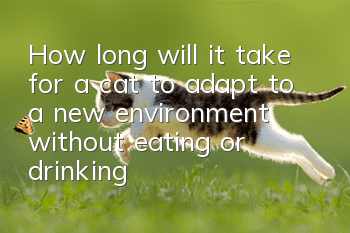 How long will it take for a cat to adapt to a new environment without eating or drinking?