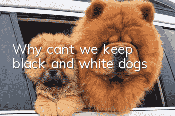 Why can’t we keep black and white dogs?