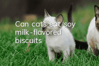 Can cats eat soy milk-flavored biscuits?