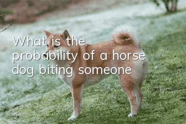 What is the probability of a horse dog biting someone?