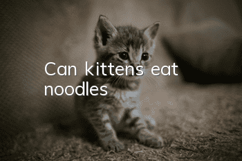 Can kittens eat noodles?