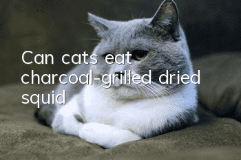 Can cats eat charcoal-grilled dried squid?