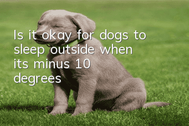 Is it okay for dogs to sleep outside when it’s minus 10 degrees?