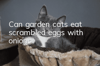 Can garden cats eat scrambled eggs with onions?