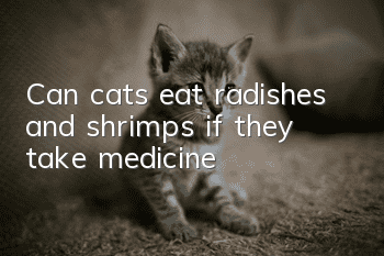 Can cats eat radishes and shrimps if they take medicine?