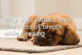 Why does Alaska have shortness of breath while sleeping?
