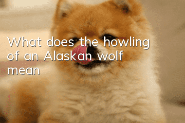 What does the howling of an Alaskan wolf mean?