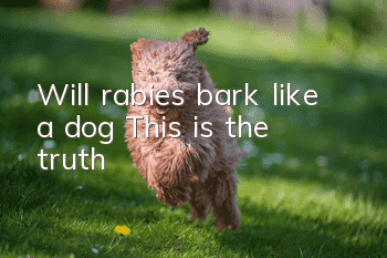 Will rabies bark like a dog? This is the truth!