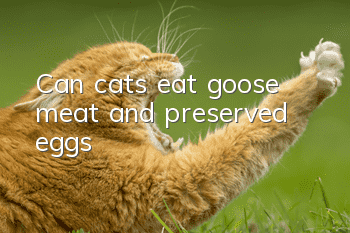 Can cats eat goose meat and preserved eggs?
