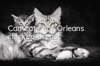 Can cats eat Orleans chicken breast?