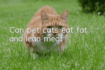 Can pet cats eat fat and lean meat?