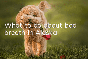 What to do about bad breath in Alaska