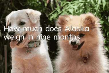 How much does Alaska weigh in nine months?