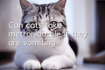 Can cats take metronidazole if they are vomiting?