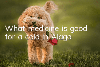 What medicine is good for a cold in Alaga?