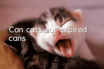 Can cats eat expired cans?