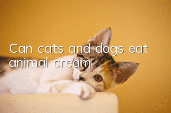 Can cats and dogs eat animal cream?