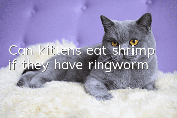 Can kittens eat shrimp if they have ringworm?
