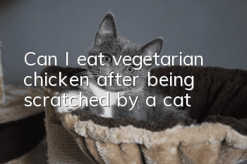 Can I eat vegetarian chicken after being scratched by a cat?