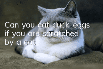 Can you eat duck eggs if you are scratched by a cat?