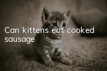 Can kittens eat cooked sausage?