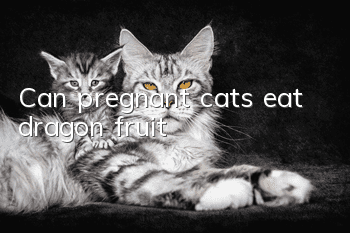 Can pregnant cats eat dragon fruit?