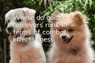 Where do golden retrievers rank in terms of combat effectiveness?