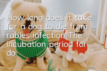 How long does it take for a dog to die from rabies infection? The incubation period for dogs infected with rabies!