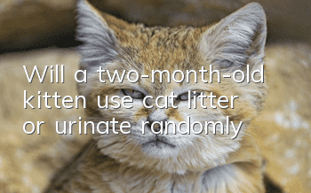 Will a two-month-old kitten use cat litter or urinate randomly?