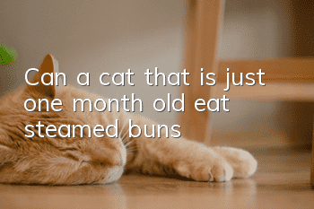 Can a cat that is just one month old eat steamed buns?