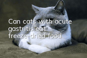 Can cats with acute gastritis eat freeze-dried food?