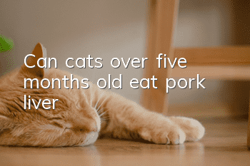 Can cats over five months old eat pork liver?