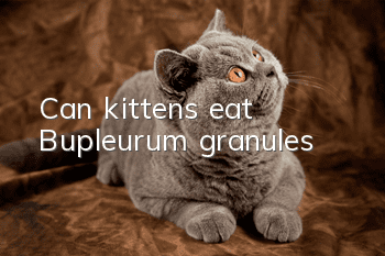 Can kittens eat Bupleurum granules?