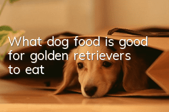 What dog food is good for golden retrievers to eat?