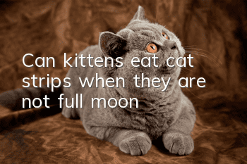 Can kittens eat cat strips when they are not full moon?