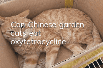 Can Chinese garden cats eat oxytetracycline?