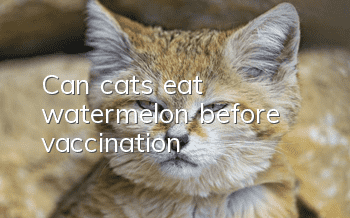 Can cats eat watermelon before vaccination?