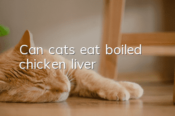 Can cats eat boiled chicken liver?