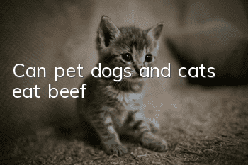 Can pet dogs and cats eat beef?