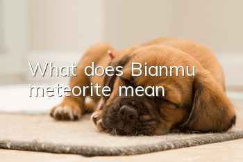 What does Bianmu meteorite mean?