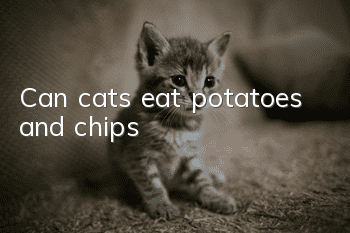 Can cats eat potatoes and chips?