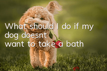 What should I do if my dog doesn’t want to take a bath?