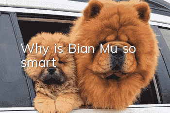Why is Bian Mu so smart?
