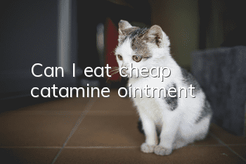 Can I eat cheap catamine ointment?