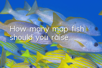 How many map fish should you raise?
