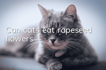 Can cats eat rapeseed flowers?