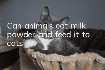 Can animals eat milk powder and feed it to cats?