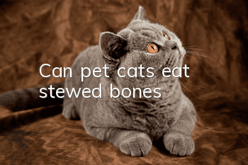 Can pet cats eat stewed bones?
