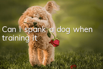 Can I spank a dog when training it?